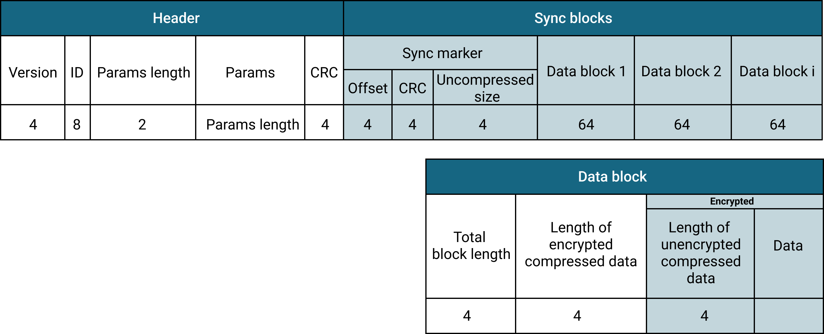 Encrypted Segment layout